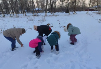 «Снежный ком» 